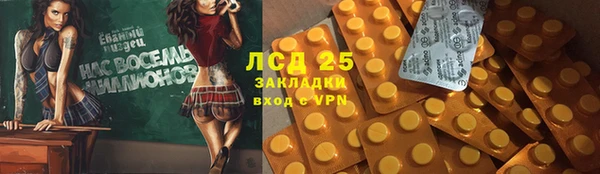 хмурый Сим