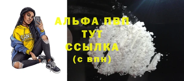 прущие грибы Нея