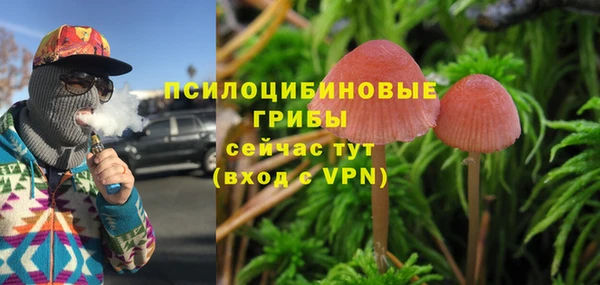 мет Нефтекумск