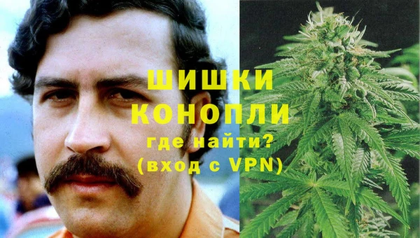 прущие грибы Нея