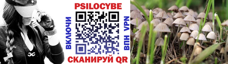 наркота  Яранск  Галлюциногенные грибы Psilocybine cubensis 
